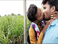 Indian Forest Outdoor Jungle Sugarcanel Field Kissing.