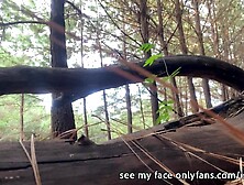 I Use a Log in the Forest to Urinate