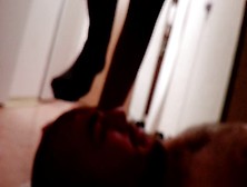 My Wife Trampling My Face And Cock