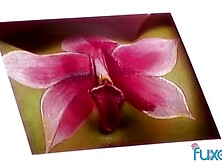 Good-looking mademoiselle's babe dirt