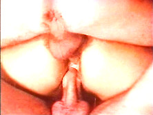 Cherry Hustlers - 1977 Vintage - VDR & Annie Sprinkle