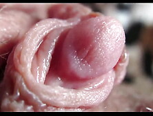Huge clit climax closeup HD