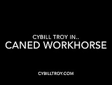 Best Domme Canes Naked male slave Severely