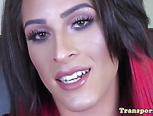 Solo Transsexual Pornstar Tugging Her Cock