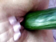 Cucumber