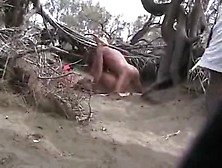 Public Fucking On The Beach