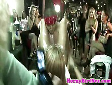 Party Amateur Cocksucking Stripper