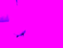 Hustler's close up porn by SecretoMio