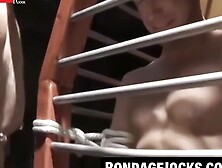 Dominatrix Mistress Franco Dax Twist N' Shout - Submissive Maiden Faceslitting Orgasm