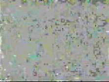 One afternoon between German ladies.