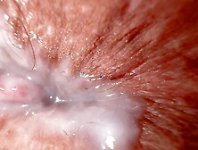 Close up fuck with creamy roommate,  the hottest asshole