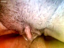 Close Up View Of Lesbian Sex