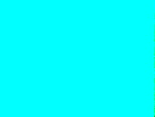 CCC - Spunky Salesman