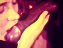 Hairy Blond teen Sucks Fucks Huge 12 Inch BBC - 1970 Vintage (18+)