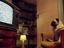 Semen in the mouth – Valentina Lapiedra gives me the best blowjob of my life - Benefit Monkey