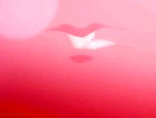 ?Hmv?Loving Dick Monster By Pino