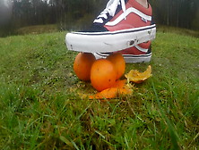 Vans Food Crush Orangen