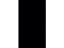 Mindblowing insane Ballsucking from my Mom