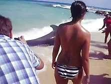 Ballena Con Su Cria ( Fuerteventura Corralejo). Mp4