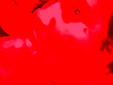 Colombian sucking delicious Mexican lover