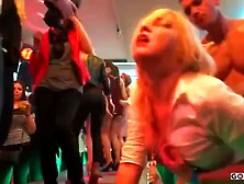 party sex orgy: Doggy,  Cowgirl & Missonary Porn