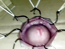 Cbt Extreme Fishhooks Torture 1