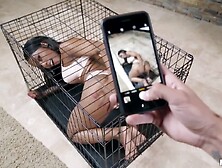 Sexually Aroused Black Teen Horny Adult (18+)