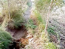 Indian village charming tape MMS