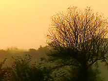 Swedish movie with Nicole Berg,  Natalie North and Nikki Dane 2