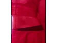 Sexy Desi Diva - Sensual Erotic Dance & Passionate Lovemaking