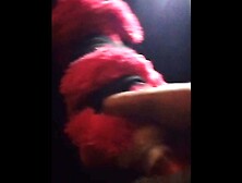 My special pink puppy