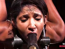 Bigass submissive babe pussytoyed