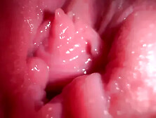 Close Up Pussy Spreading and Dirty Talk