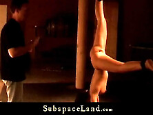 Una cagna mora,  legata,  è costretta a succhiare