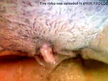 wet lesbian tribbing