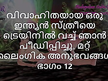 Malayalam Sex Story - I Drilled a Married Indian Woman in Train and other Sex Experiences Part 12
