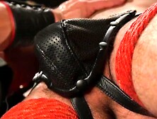 Bondaged Babe Suspended And Fucked Hard By Big Dick Stud - Anal Fucking With A Hot Blonde