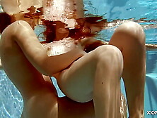 In the indoor pool,  2 gorgeous bitches swim