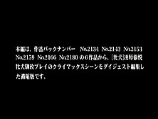 Adv-R0210　ビザ－ルオルガズム　10　凌●愉悦女を牝犬に！