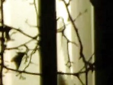 Hot MILF walks bottomless around the house