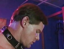 Strip club have a private after party each night