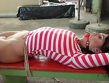 Dark-haired sub Sarah Simons gets tied up and toyed to orgasm