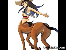 Toon Furry Hoes Get Fucked!