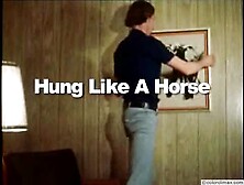 Hung Like A Horsevintage Classic Retro