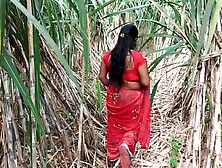 My Step Mom In Sugarcane Farming