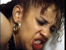 Black stars fight for 1 lucky stud's strong cucumber