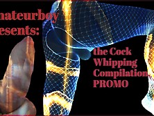 Amateurboy Presents The Cock Whipping Compilation Promo