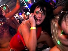 Yong beauteous cuties drilled from back