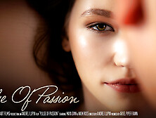 Pulse Of Passion - Maya Sinn & Nick Ross