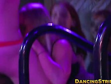Clothed amateur chick railed after sucking male stripper off